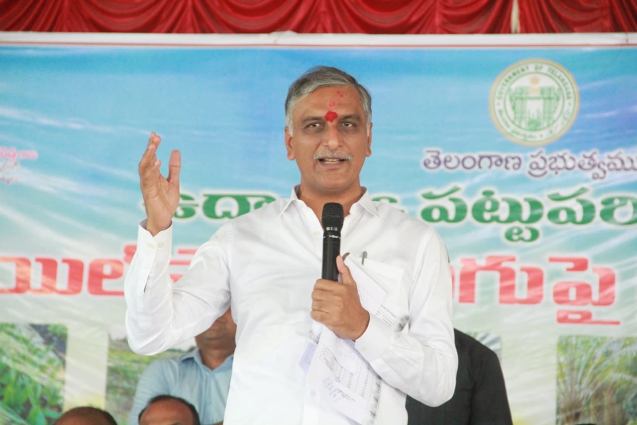40K Oil Palm sprouts bought from Singapore, Malayasia, Thailand: Harish Rao