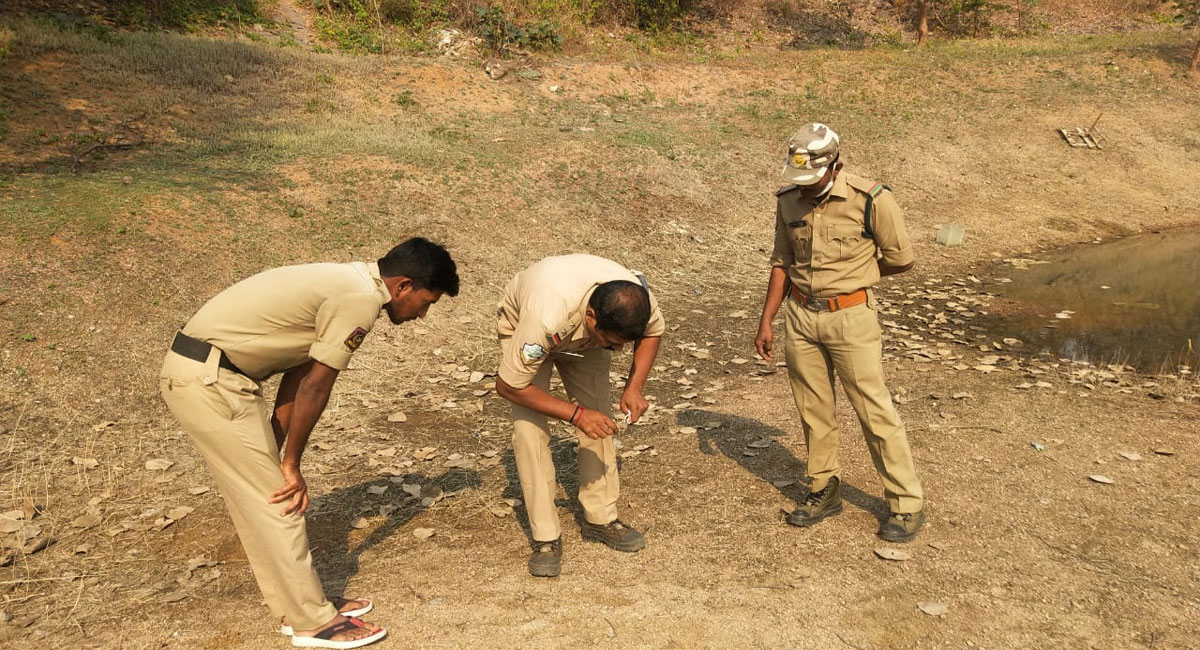 Karimnagar: Sloth bear creates flutter in Satavahana University
