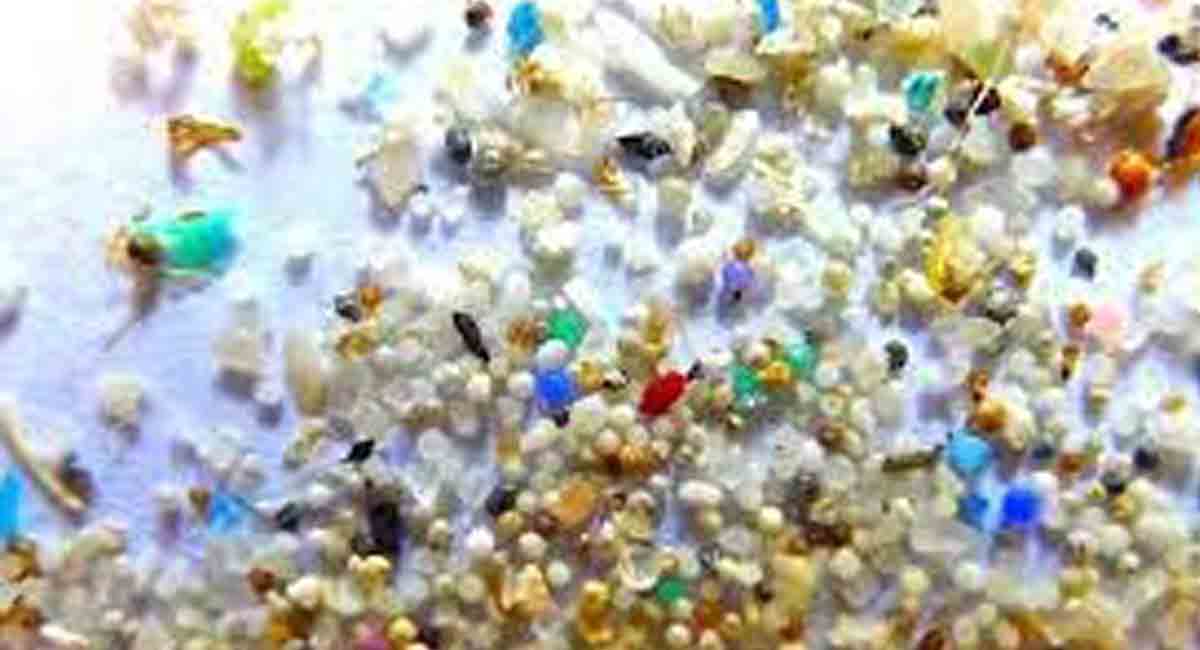 Study reveals presence of microbeads in cosmetic products in India