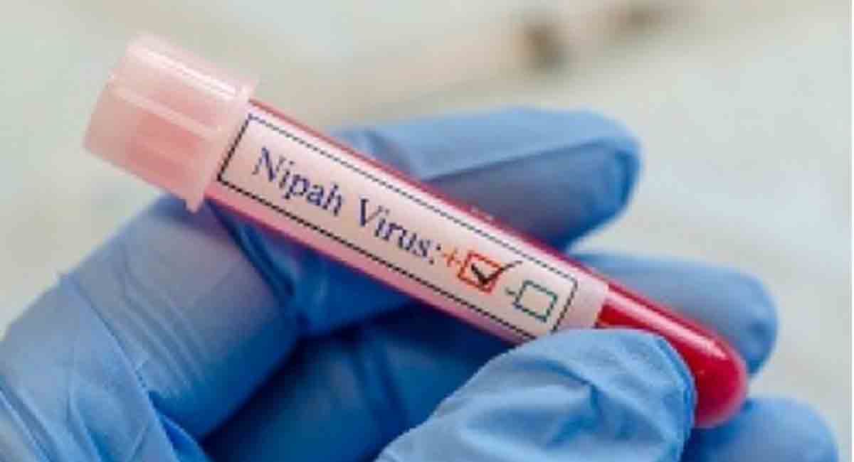 US scientists develop Nipah virus vax that can save lives in just 3 days