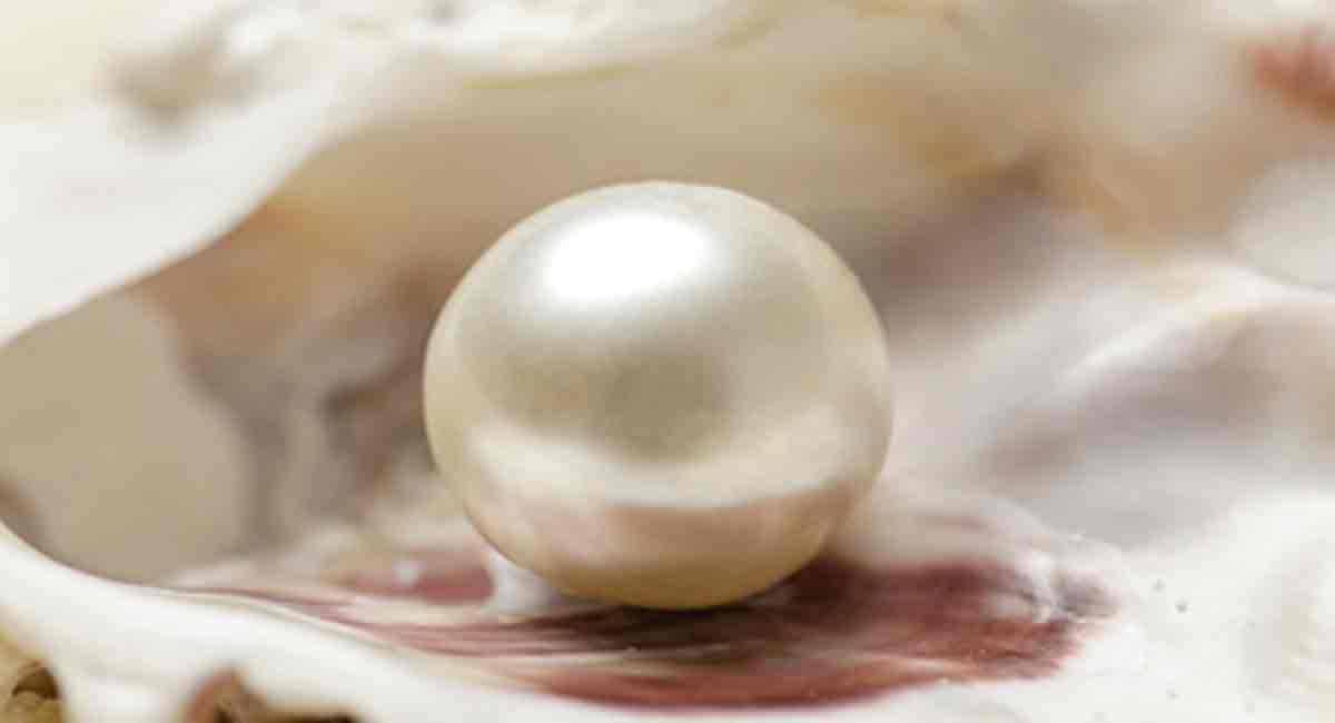Archaeologists find over 6,500-yr-old pearl bead in Qatar grave