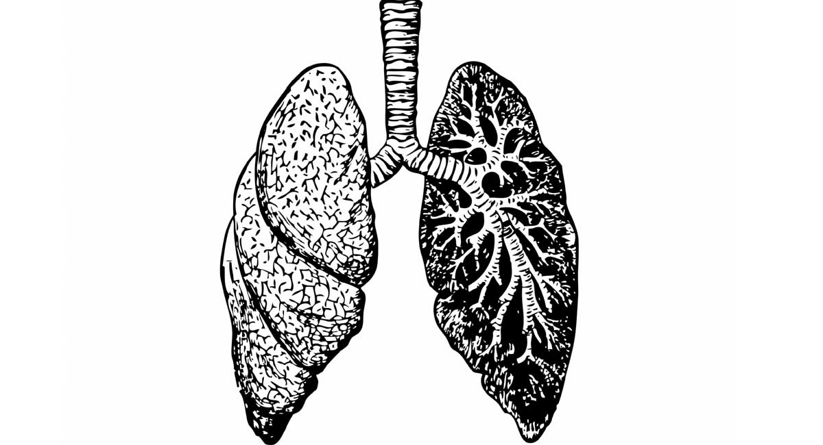 After cosmetics & blood, now scientists detect microplastics in lungs ...