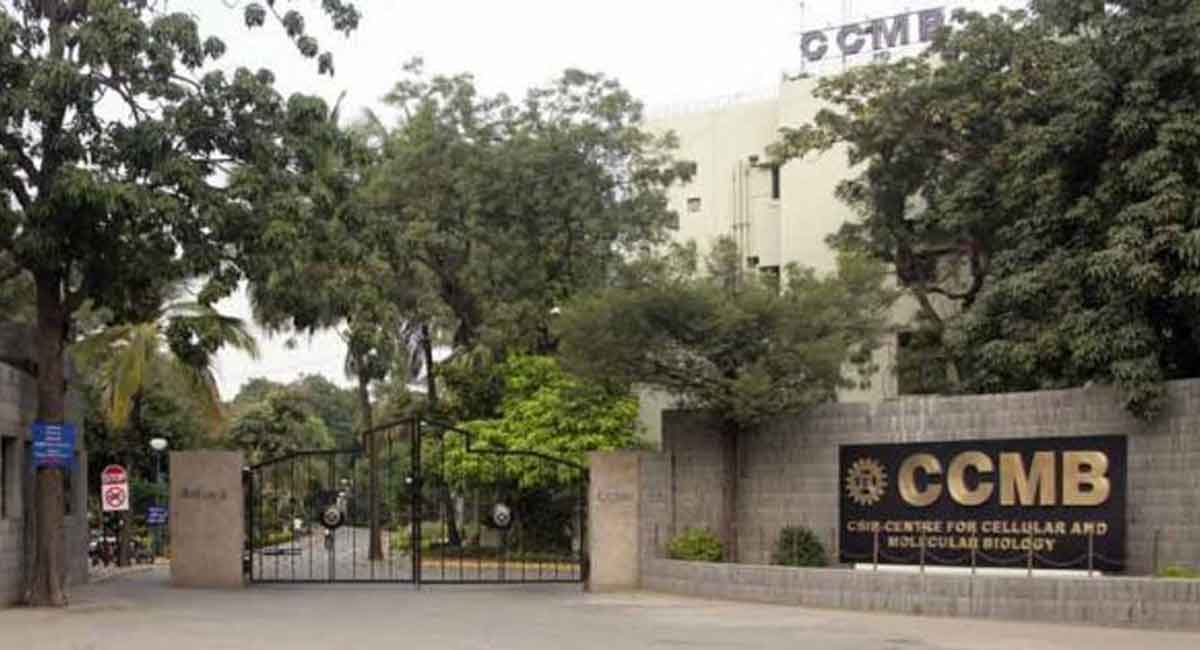 CCMB study unravels basis for side-effects of statins