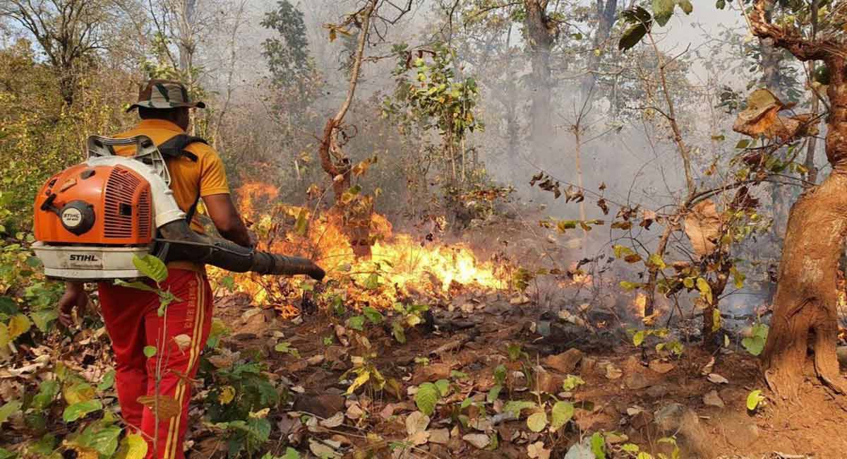Climate change leading to a spike in forest fires
