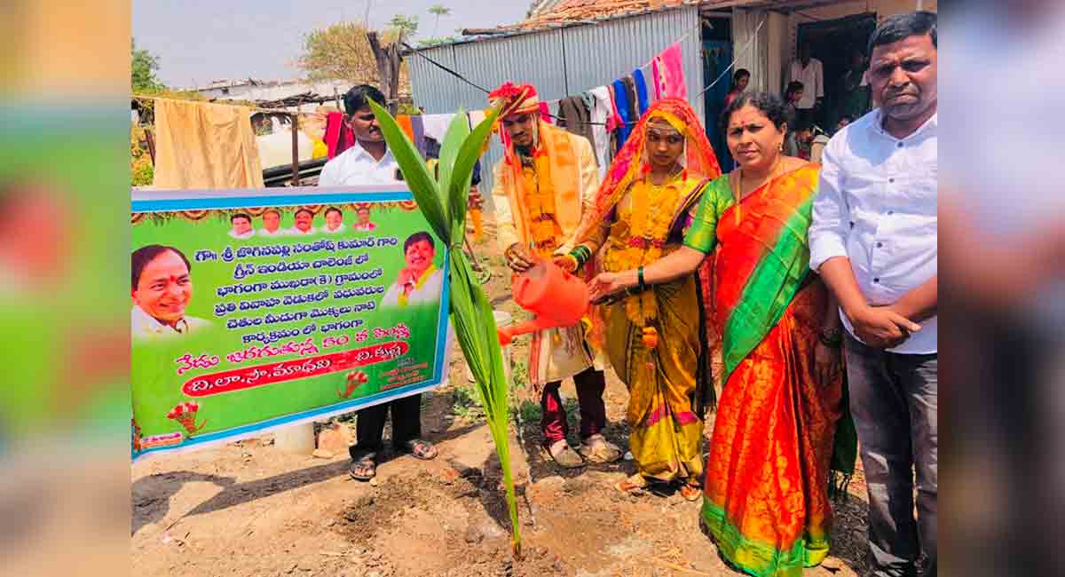 Newly-married couple joins Green India Challenge in Adilabad
