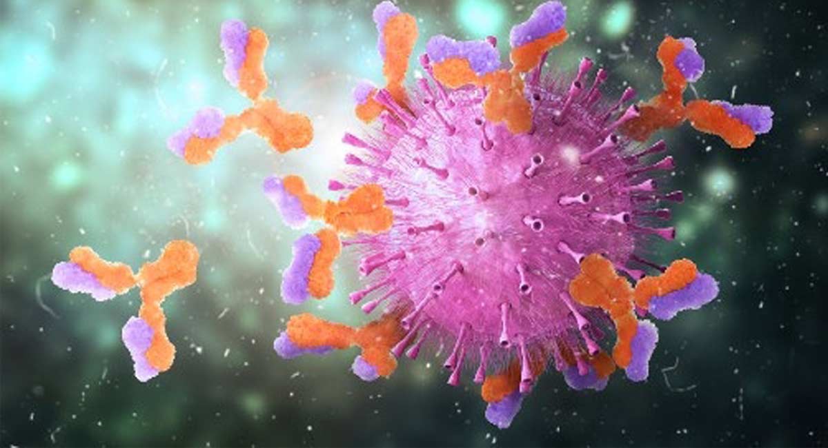 How our immune system is linked with long Covid