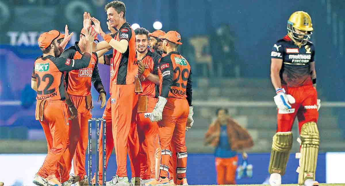 IPL 2022: Jansen, Natarajan shine as Sunrisers thrash RCB by 9 wickets