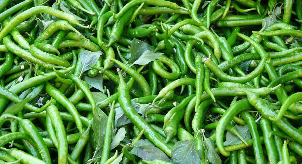 Now get green chilli powder on your table soon