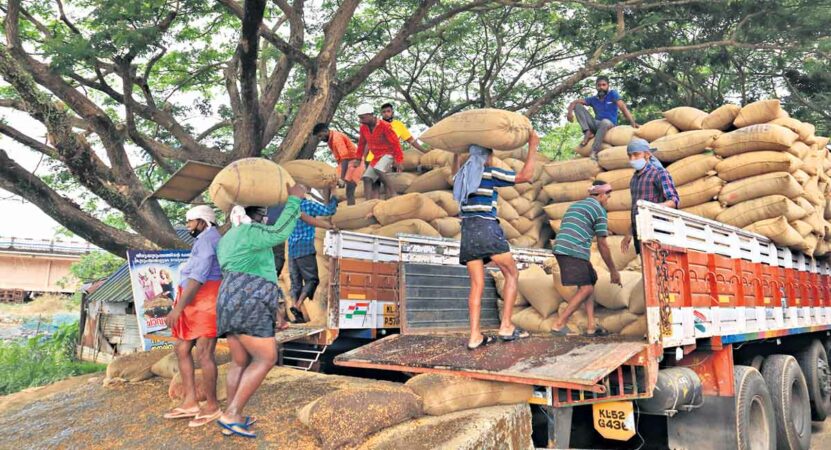 Odisha joins Telangana, questions Centre over non-procurement of parboiled rice