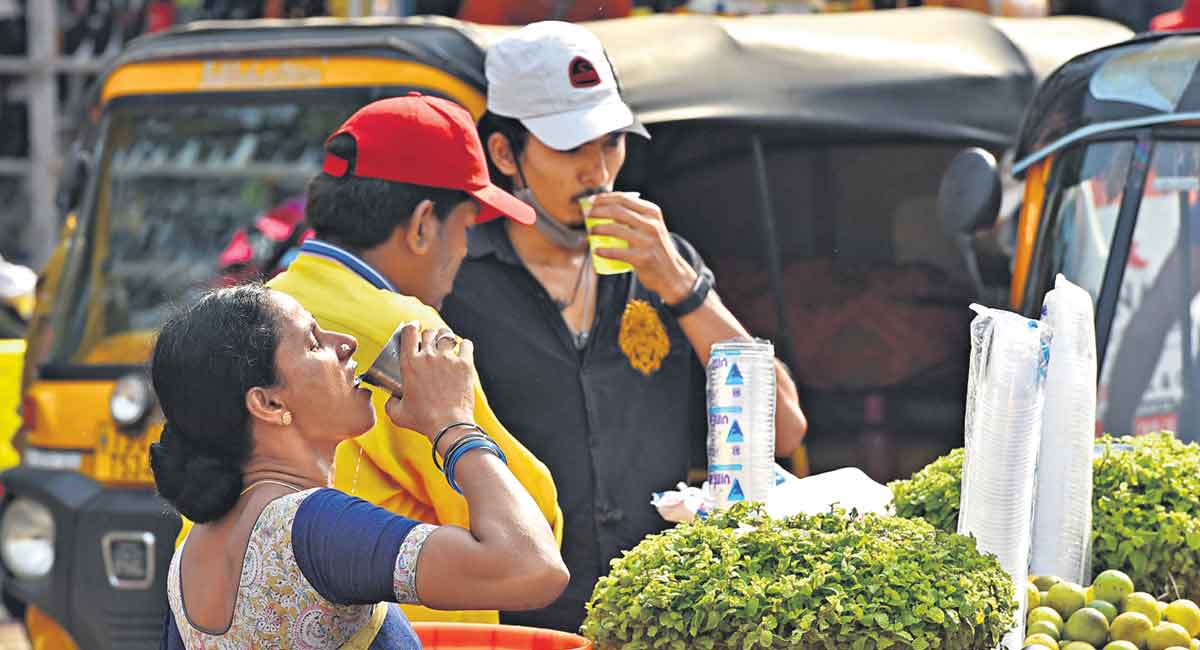 Summer scorches Telangana, heat wave warnings issued