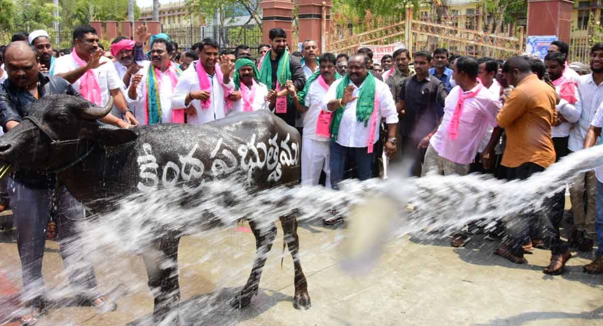 TRS organises innovative protest on Paddy issue