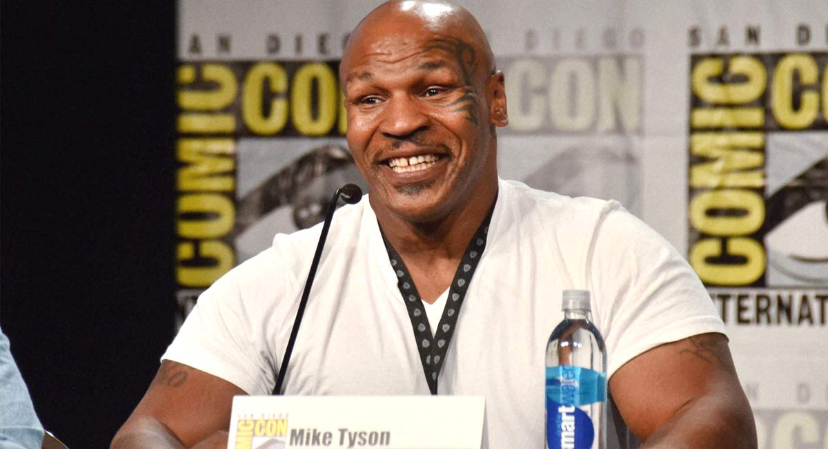 Watch: Mike Tyson repeatedly punches fellow passenger on plane