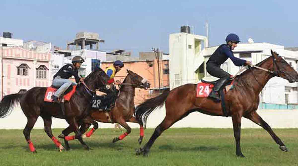 Off Shore Breeze has edge in Ooty feature