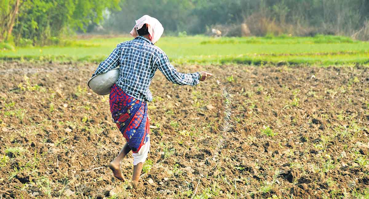 Opinion: A huge fertilizers crunch is looming