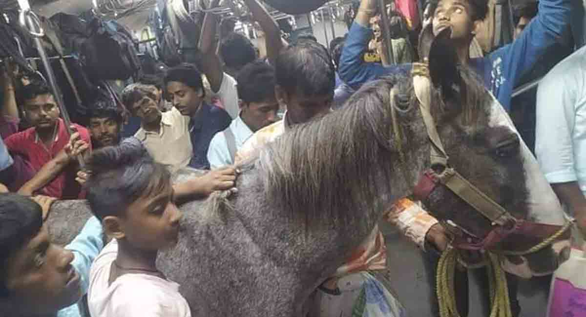 Pics of horse travelling in crowded train goes viral, owner arrested in Bengal
