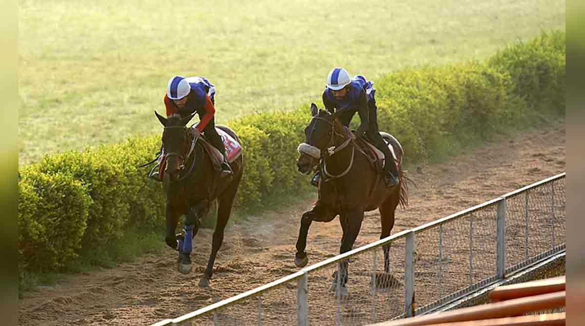 Jet Rafle has edge in Delhi feature