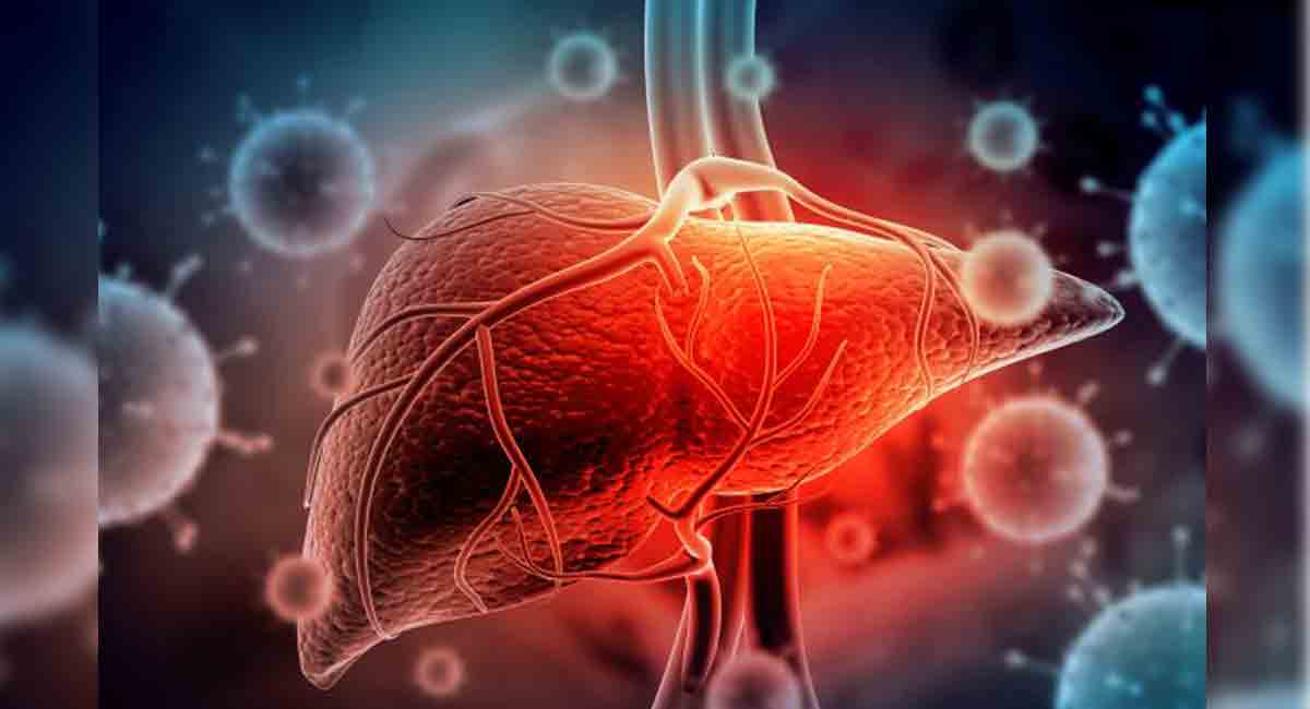 How zero-sugar food impairs liver’s ability to detoxify