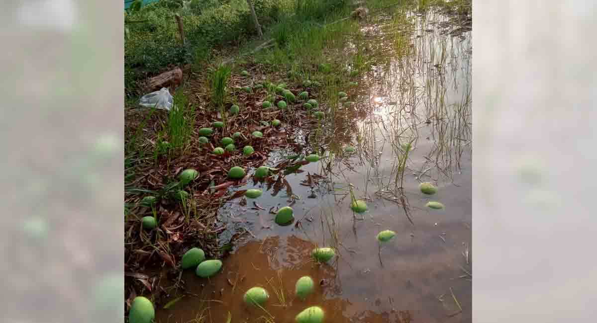Untimely rain disturbs normal life in old Karimnagar