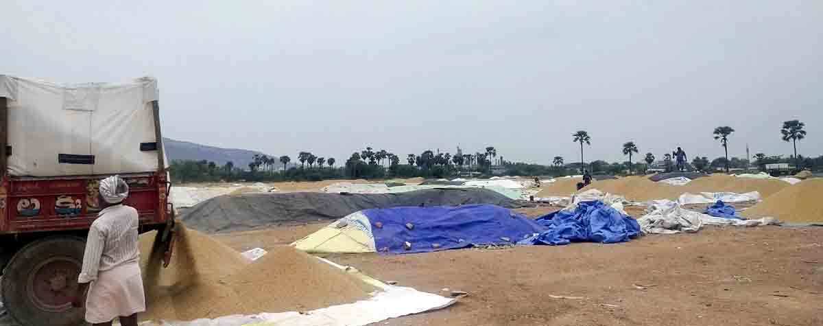 Showing faith in CM KCR, farmers shift paddy to procurement centre week before his announcement