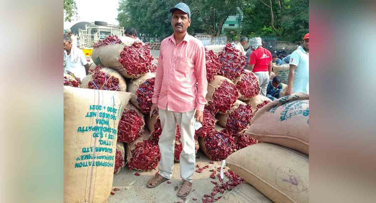 Quintal red chillies sold at record price at Enumamula market yard in Warangal