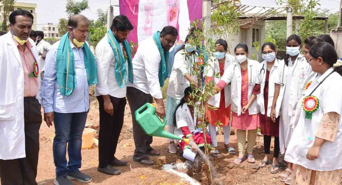 TRS activists plant saplings in Karimnagar