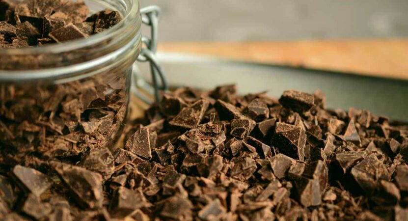 salmonella infections