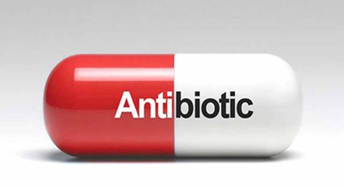 Antibiotics may cause deadly fungal infections in hospitalised patients