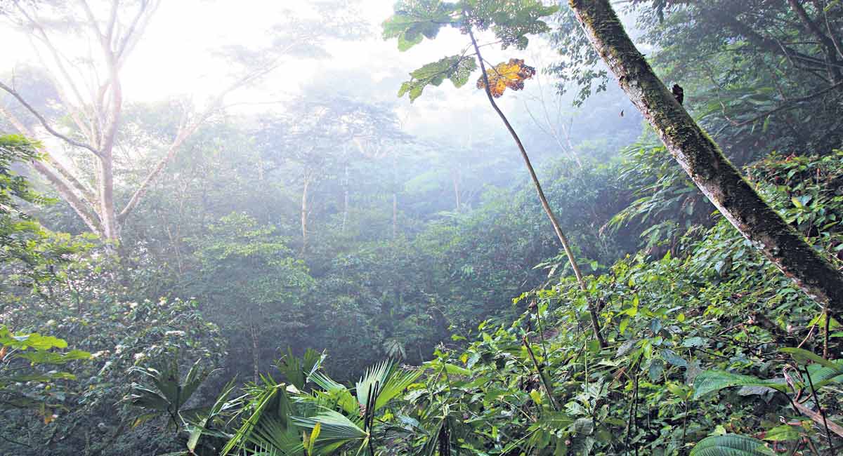 Let’s discuss different kinds of threats to our biodiversity