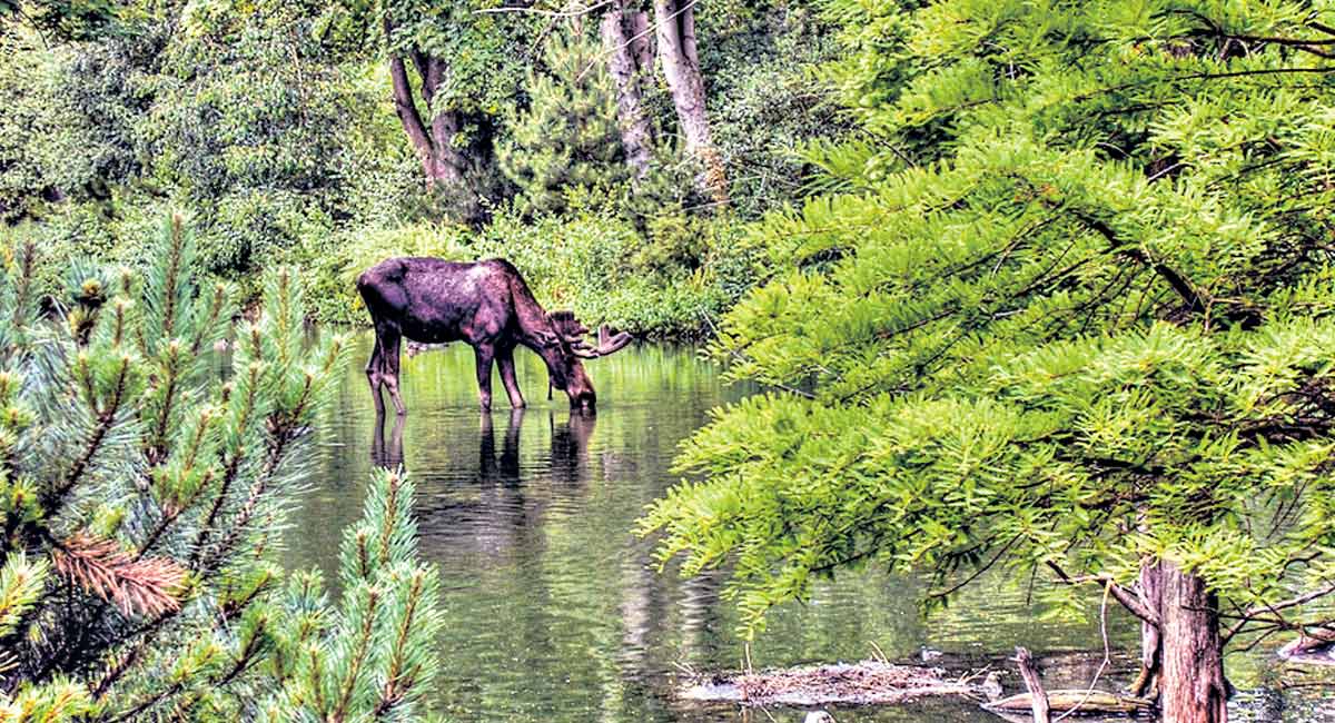 Get a grasp on Biological Sciences