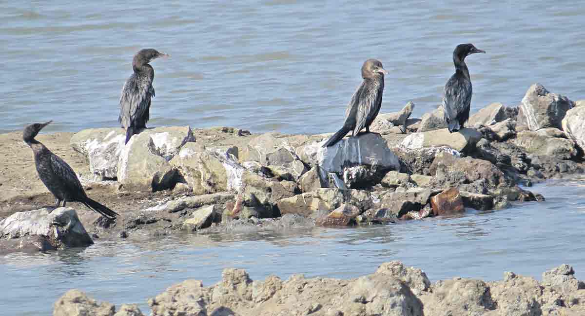 Keep abreast of the current affairs