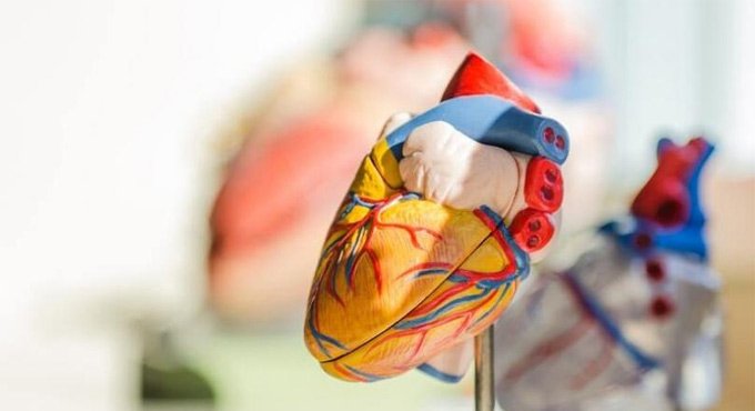 ‘India will have distinction of recording highest cardiac deaths by 2030’