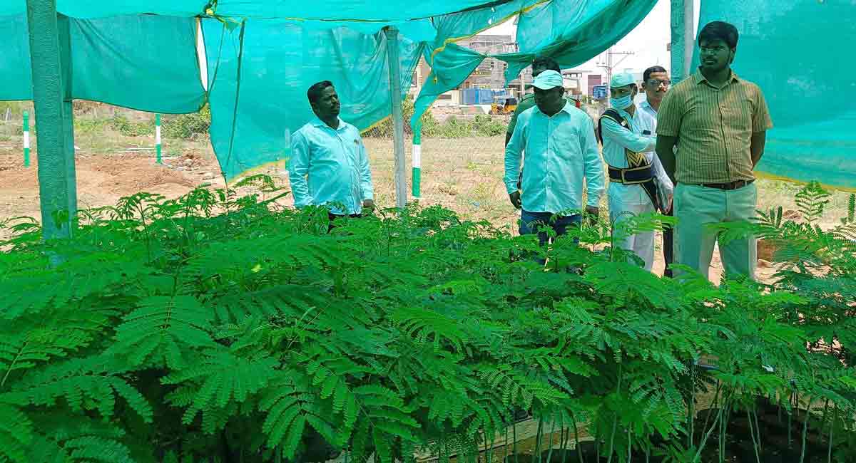 Khammam: Real estate ventures must earmark space for greenbelt, says Collector