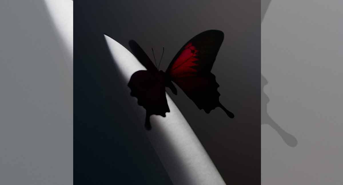 Post Malone returns with ‘Cooped Up’, a new single with Roddy Ricch