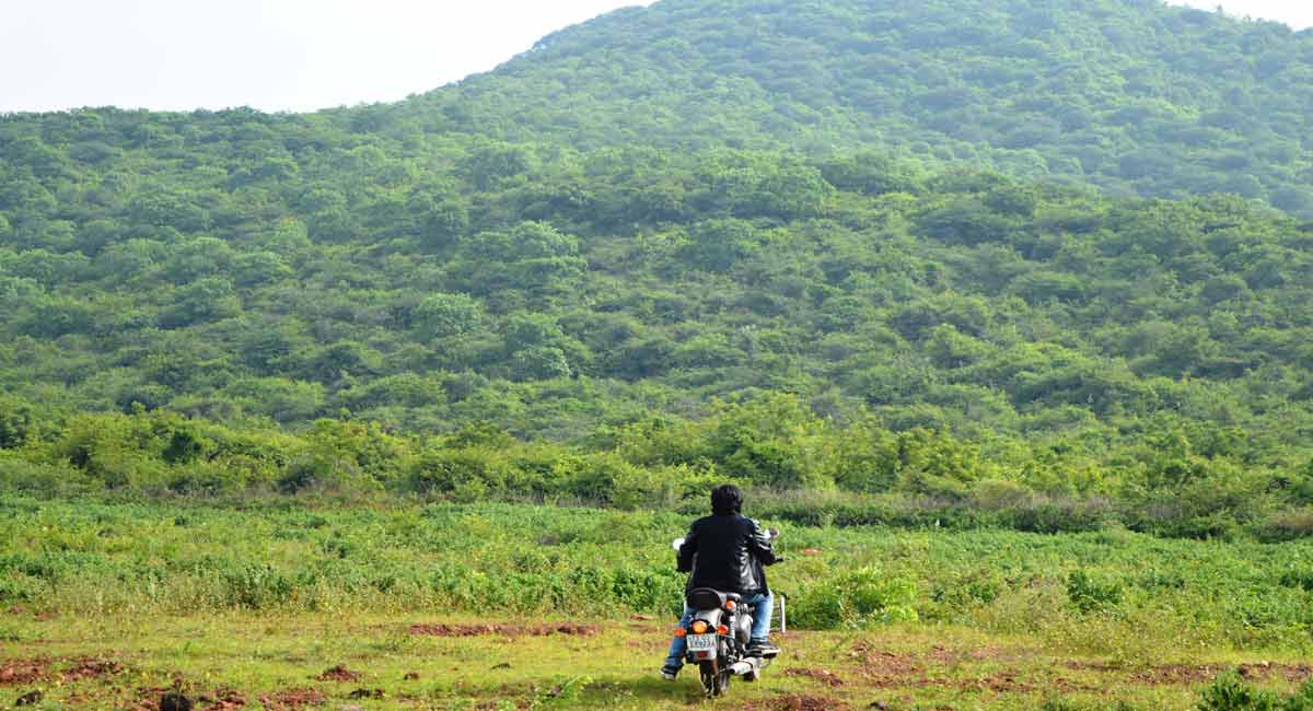 Telangana: Japanese technique ‘shinrin-yoku’ to be organised in Devunoor forest