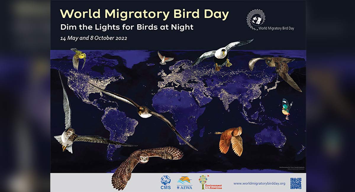 Dim the lights for migratory birds tonight