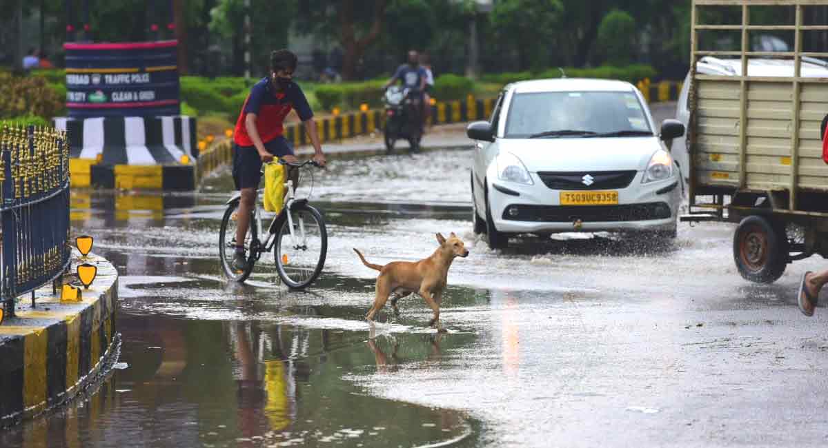 Heavy rains lash Hyderabad in early hours of Wednesday