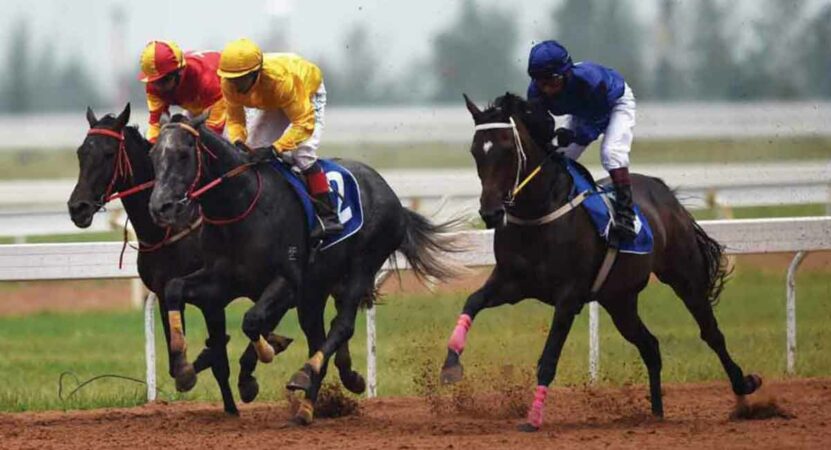Horse Racing: Super Girl fancied for Ooty selections