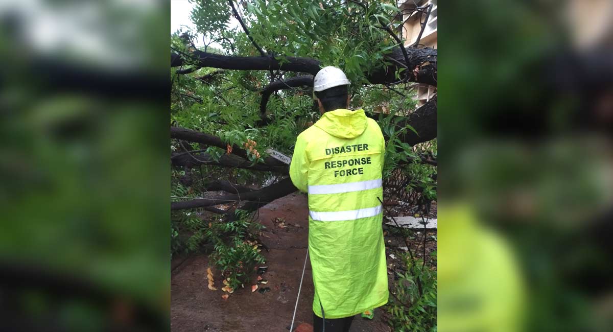 Hyderabad rains: DRF teams swing into action