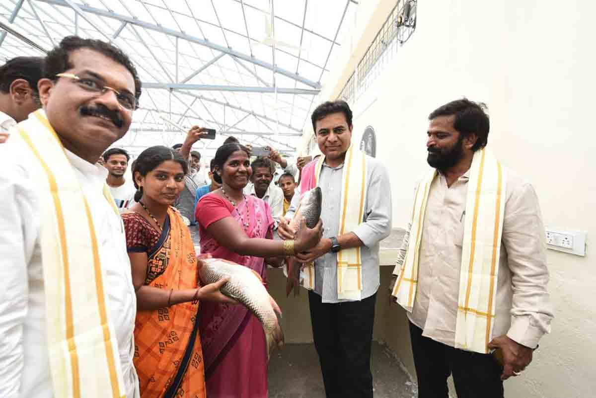 Master plan for development of Narayanpet