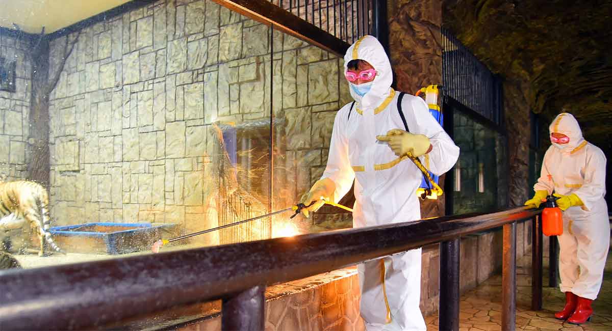 N.Korea reports 186,000 new suspected Covid cases