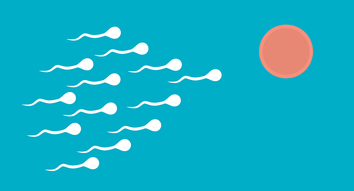 New measure of sperm age may predict pregnancy success