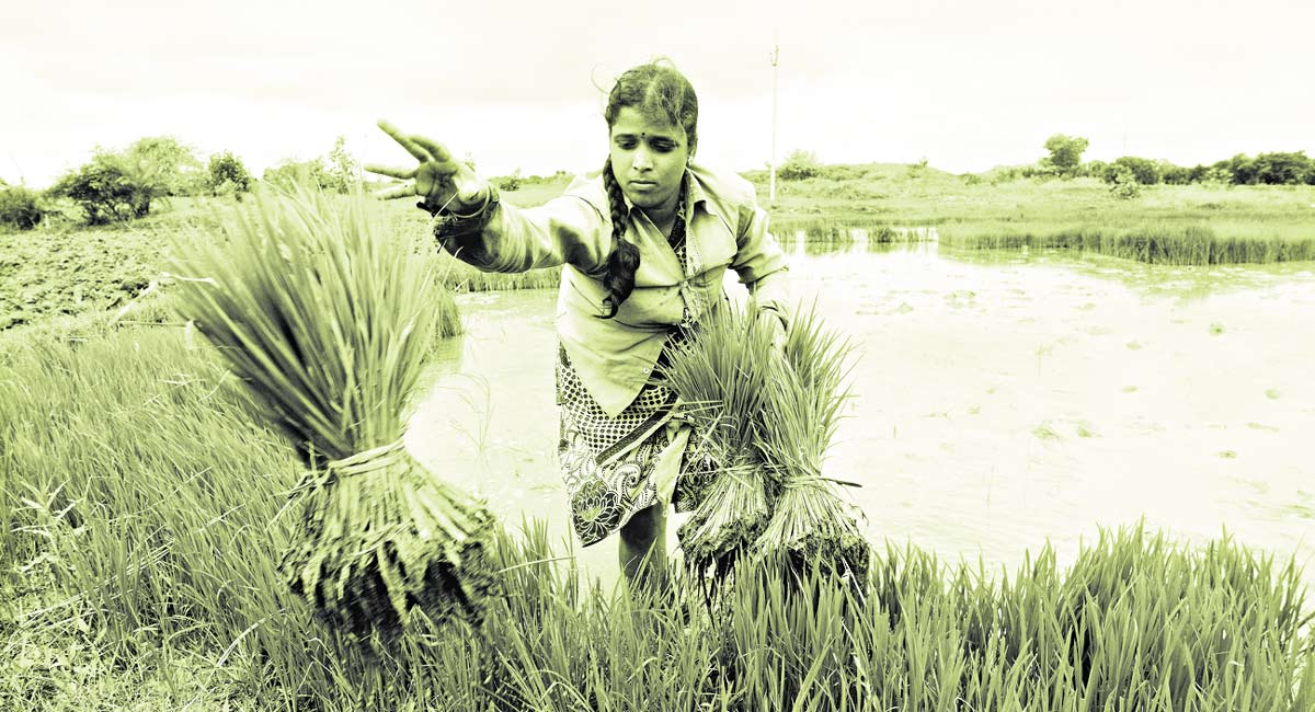 Opinion: Making the most of MSP