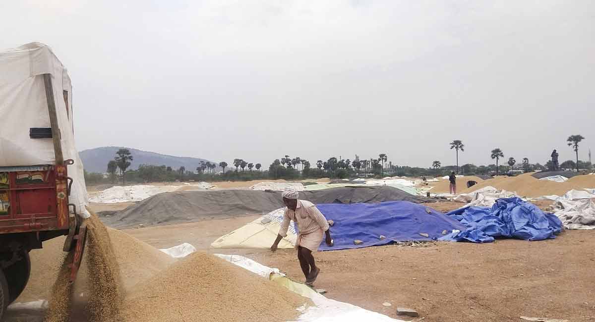 39,620 metric tons of yasangi paddy procured so far in Nalgonda district