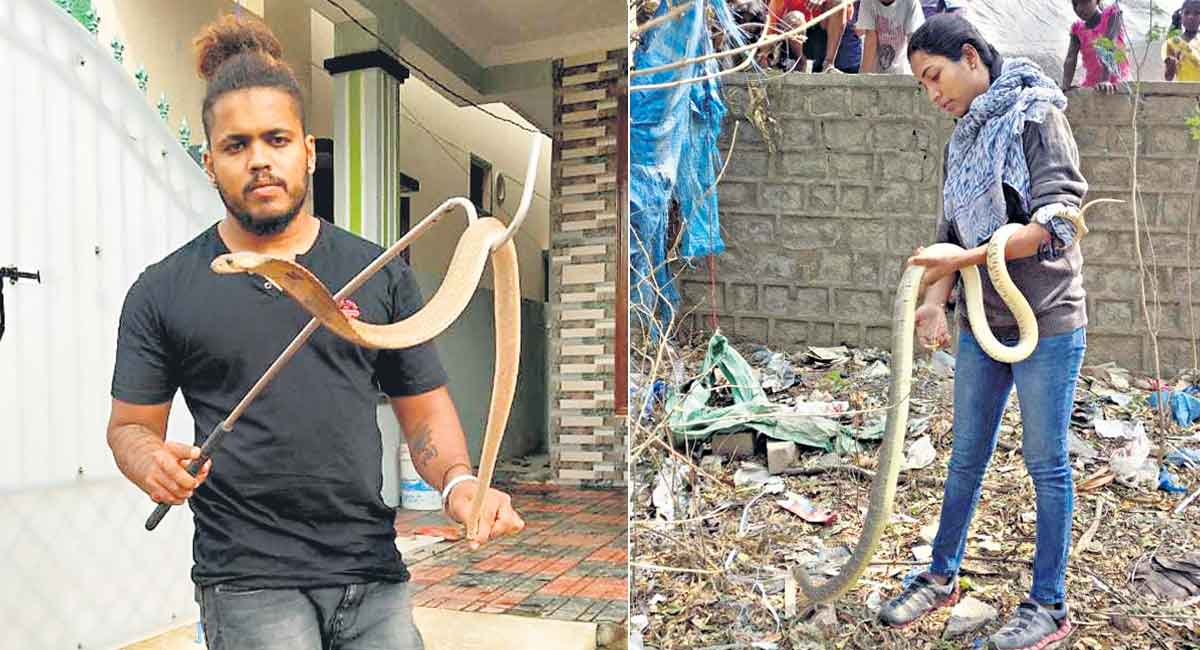 Keep Hyderabad’s slithery visitors at bay in summer