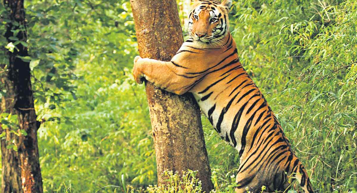 Be aware of what’s happening in India