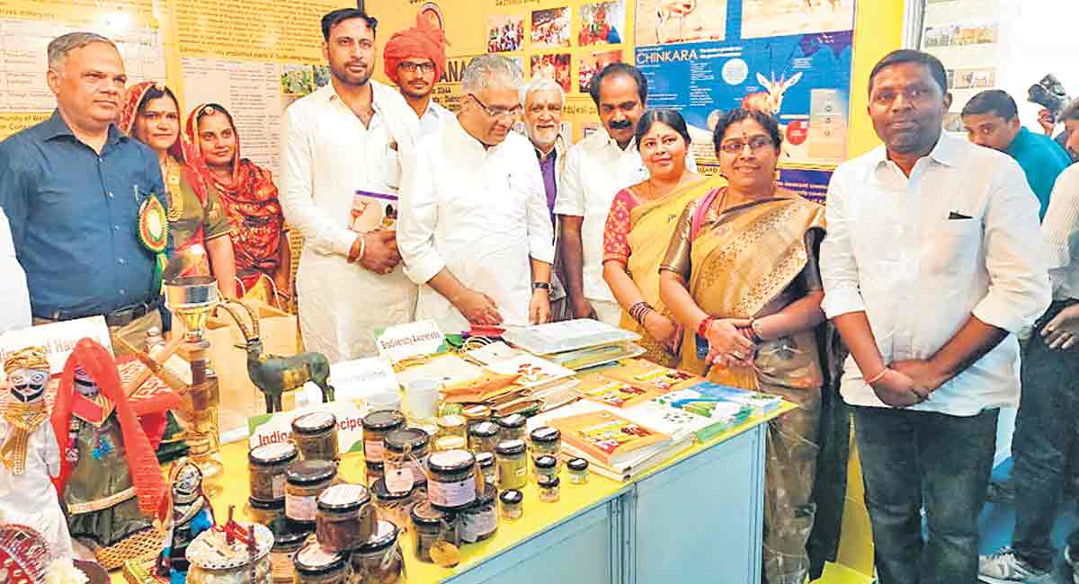 Adilabad: Union Minister all praise for Mukhra (K) village-Telangana Today