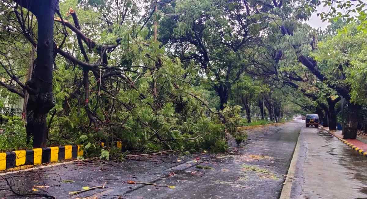 Heavy rains lash Hyderabad in early hours of Wednesday