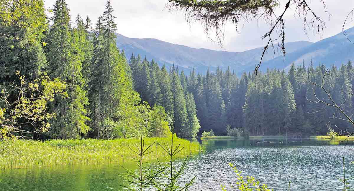 Understanding aqua ecosystems around us