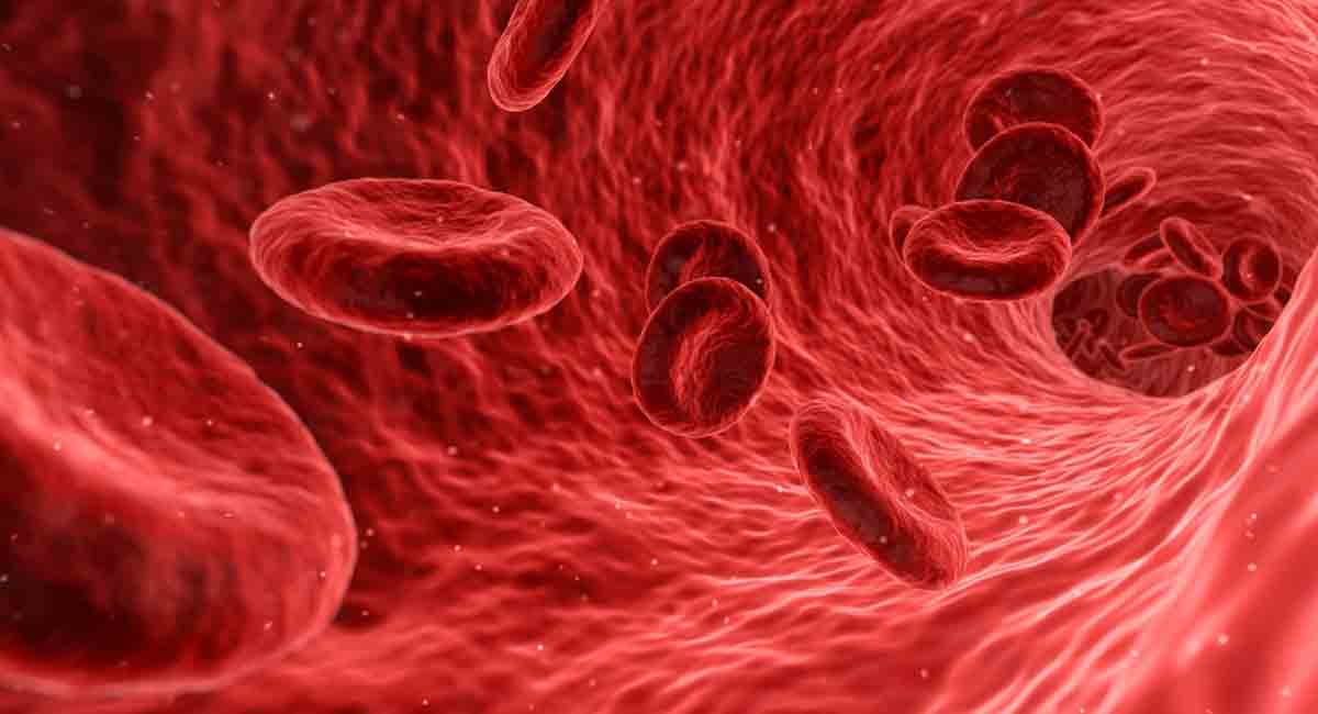 World Thalassemia Day: Early intervention key for this genetic disorders, say experts