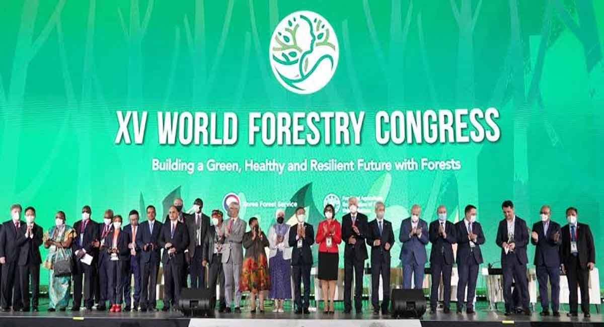 All you need to know about Seoul Forest Declaration